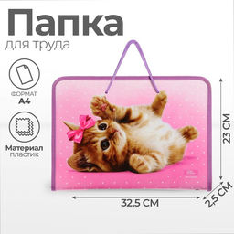 Папка для труда, А4, пластиковая, 32.5?23?2.5 см Самая милая