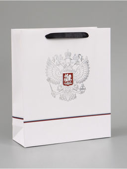 Цена за 2 шт. Пакет подарочный «Россия», 25.5×30×9 см