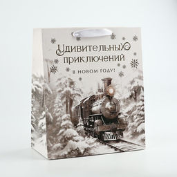 Пакет подарочный новогодний ламинированный «Приключений в новом году», тиснение, ML 23×27×11.5 см
