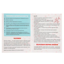 Набор для опытов «Наука твоего тела», 10 опытов