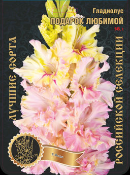 Гладиолус Подарок Любимой 545,Фотин 1 р-р 7шт (Ф)