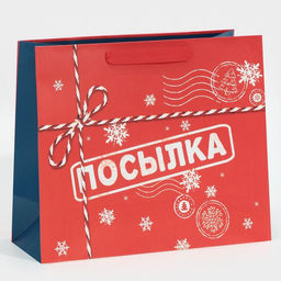 Пакет подарочный новогодний ламинированный «Посылка для тебя», MS 18 х 23 х 10 см