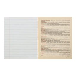 Тетрадь предметная Неон. Литература, 48 листов в линейку, со справочными материалами, блок офсет, обложка мелованный картон, УФ-лак - Calligrata фото 3