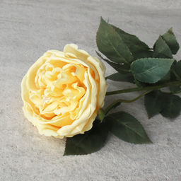 Цена за 1 шт. Цветок искусственный Пионовидная роза 59 см / GR-005 /уп 144/силикон - ГалеонТрейд фото 4