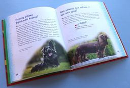 Миллион вопросов о животных, обо мне и мире вокруг и самых разных любопытных вещах