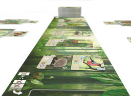 Смешанный лес