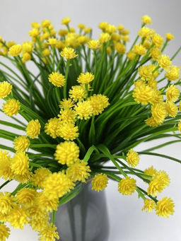 Мимоза желтая 35 см, декоративное растение - Aopen фото 5