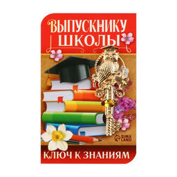 Ключ сувенирный Выпускнику школы, металл, 2 х 4,8 см