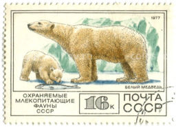 Марка Охраняемые млекопитающие фауны СССР  Белый медведь 1977 год