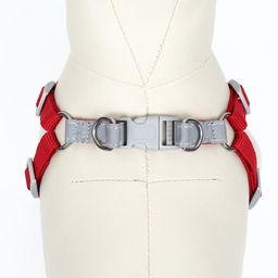 Комплект Sport+, S, поводок 120 x 1,5 см, ОШ 39-41 см , ОГ 44-48 см, вес животного 7-13 кг, красный - Пижон фото 5