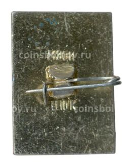 Значок Кострома