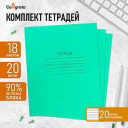 Набор тетрадей 18 листов в линейку Зелёная обложка, белые листы, 20 шт.