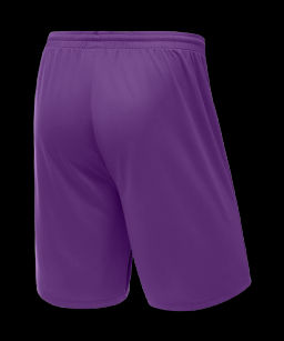 Шорты баскетбольные JOGEL CAMP Basic, фиолетовый  фото 4