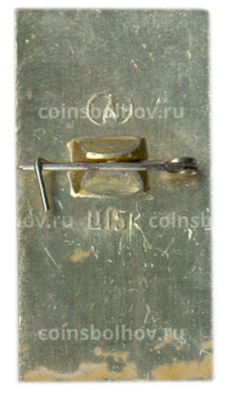 Значок Павловск