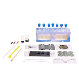 Набор для опытов Мои чувства - Эврики фото 6