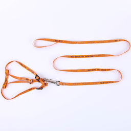 Комплект Чертовски хорош, шлейка 24-36 см, поводок 120х1 см - Пушистое счастье фото 3