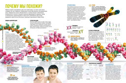Тайны тела человека. Большая иллюстрированная энциклопедия. Сориано Д. - Махаон фото 5