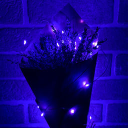 ULD-S0200-020/SСB/2AA PURPLE IP20 DEW Гирлянда светодиодная "Роса" на батарейках 2AA (не в/к), 2м. 20 светодиодов. Фиолетовый свет. Провод медный. TM Uniel