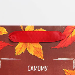 Пакет ламинированный вертикальный Учитель года, ML 27 23 11,5 см - Дарите счастье фото 3