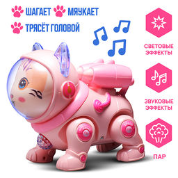 Кот "Электрокосмический кот" в коробке