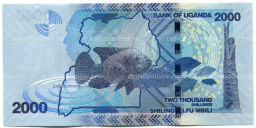 2000 шиллингов 2022 года Уганда