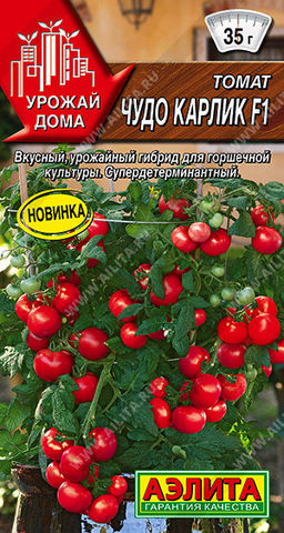 0992A Томат Чудо карлик F1 10шт