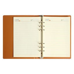 Органайзер на кольцах Престиж А5, 92 листа, в линейку, обложка кожзам, МИКС - Calligrata фото 7