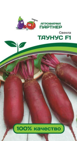Свекла столовая Таунус - Партнер фото 2