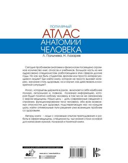Популярный атлас анатомии человека