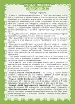 2 шт. Золотая розга (золотарник), (трава) - Мариславна фото 3