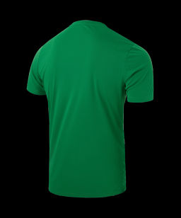 Футболка вратарская JOGEL DIVISION PerFormDRY SPLASH GK Jersey, зеленый, детский  фото 3