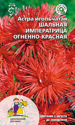 Астра ШАЛЬНАЯ ИМПЕРАТРИЦА ОГНЕННО-КРАСНАЯ Игольчатая