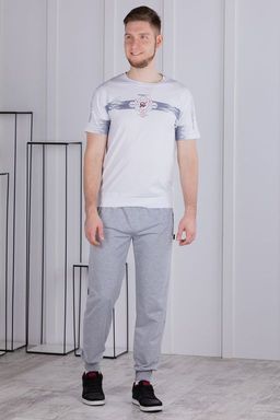 брюки спортивные 
 3.MMT003A-серый-светлый