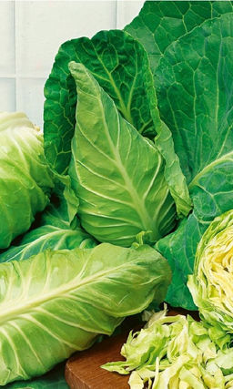 Капуста САХАРНОЕ СЕРДЦЕ F1  Скороспелая! Плотная! Необычная форма кочанов!