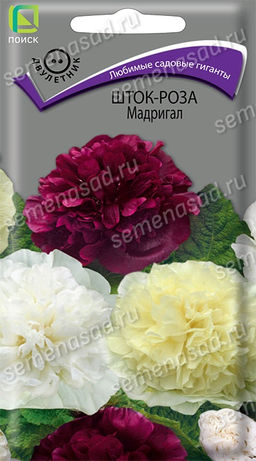 Шток-роза Мадригал (ЦВ) ("2) 0,1гр.