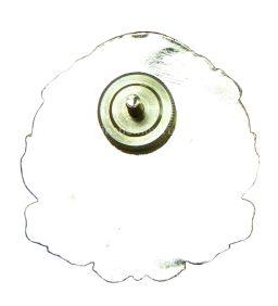 Знак Почётный гражданин города Болхов