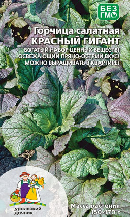 Горчица салатная КРАСНЫЙ ГИГАНТ Богатый набор ценных веществ! Освежающий пряно-острый вкус! Можно выращивать в квартире!