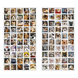 Набор наклеек ПВХ 100шт. "Cats" (MS_65938, MESHU) 2 листа 13*8,5см