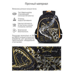 RAz-287-11 Рюкзак школьный с картхолдером на держателе - Grizzly фото 27