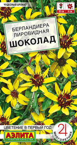 1241A Берландиера Шоколад 5 шт