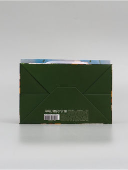 Цена за 2 шт. Пакет подарочный с широким дном «Цветы» 20 × 14 × 13,2 см