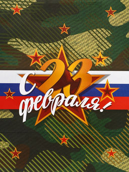 Цена за 2 шт. Пакет подарочный крафт С 23 Февраля! 42?33?10 см