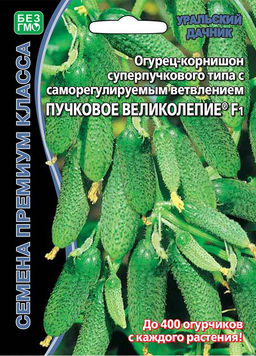 Огурец ПУЧКОВОЕ ВЕЛИКОЛЕПИЕ F1 Уникальный!