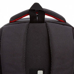 RU-330-2 Рюкзак - Grizzly фото 33