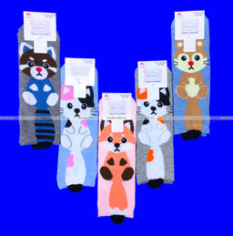 e9f0cd495a79405204e38f741fe7a63d3vujt31nng0lyqxa43