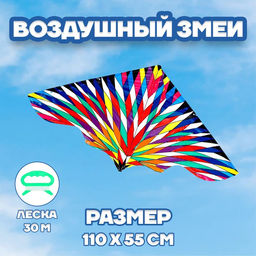 Воздушный змей Полёт