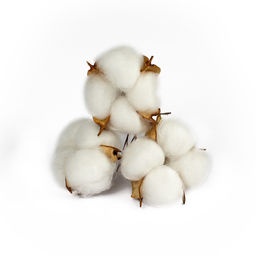 Декор для творчества «Сухие цветы хлопка» на проволоке, 3 шт.