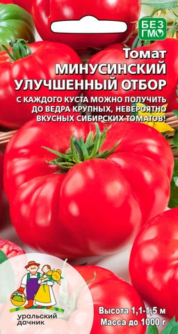 Томат МИНУСИНСКИЙ УЛУЧШЕННЫЙ ОТБОР  С каждого куста можно получить до ведра крупных, невероятно вкусных томатов!