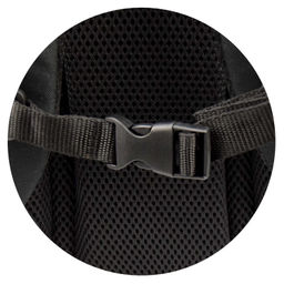 Рюкзак школьный Феникс+ арт.68245/ 10 ТРИ КОТА