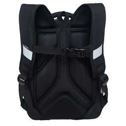 RAw-496-5 Рюкзак школьный